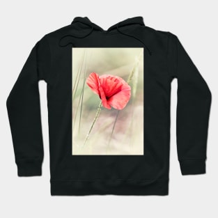 Wild Poppy Hoodie